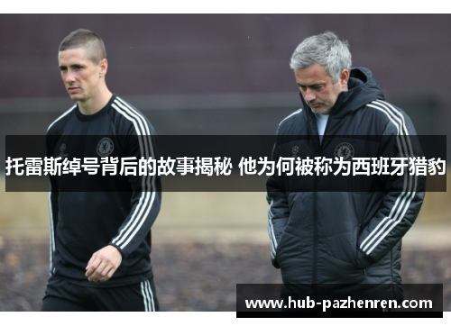 托雷斯绰号背后的故事揭秘 他为何被称为西班牙猎豹